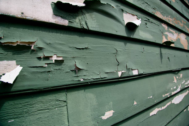 Shed Removal in Port Washington, NY